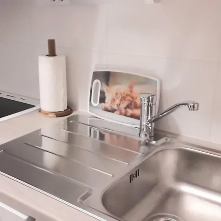 Kotilahti 公寓 罗瓦涅米